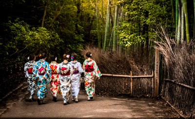 自行組團安排旅客出國觀光旅遊、食宿
及提供有關服務。