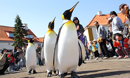 登別尼克斯海洋公園