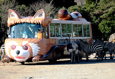 [星悅]北九州+山陰山陽5+1日