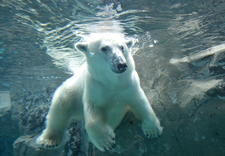 [JL PAK日本假期]北海道全覽七日