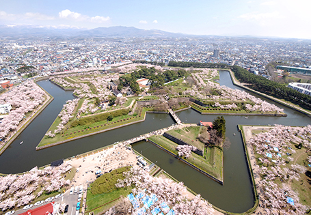 [長榮]北海道花海浪漫行五日