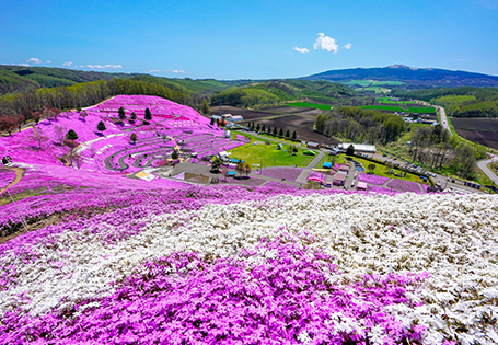 [JL PAK日本假期]花現北海道七日