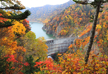 [長榮]秋染北海道秘境漫旅五日-旭川包機