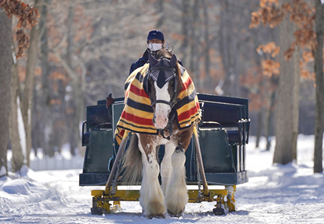 [長榮]冬遊戀雪北海道五日