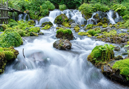 [長榮]秘境北海道五日