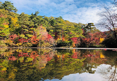 [長榮]關西楓華秋日輕旅行5日