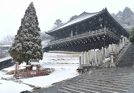 [長榮]關西歷史風景絕美之旅五日