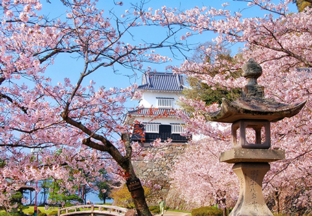 [長榮]九州春花綻五日遊