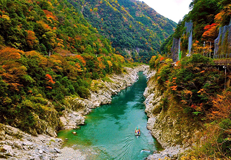 [長榮]道後四國賞楓秘湯行五日