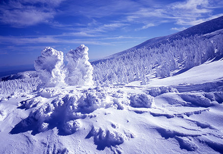 [虎航]雪戀東北五日