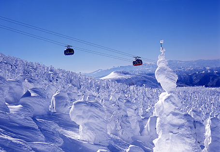 [日航]奇幻藏王樹冰東北六日