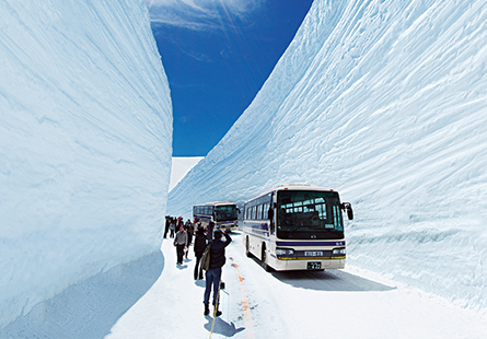 [日航]春光秘境之約・紫藤仙境與雪牆奇景６日