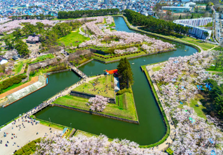 [長榮]北海道花海浪漫行五日