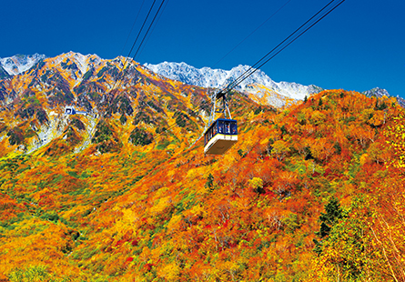 [長榮]璀璨立山盛楓行五日