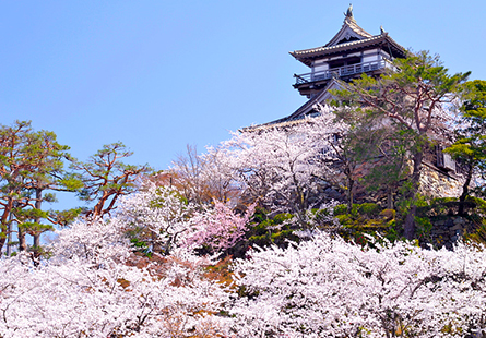 [長榮]福井春遊記五日