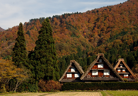 [長榮]楓林北陸盛秋行五日