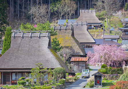 [長榮]春日福井風情之旅六日