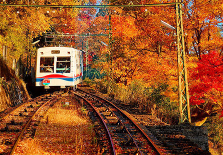 [長榮]秋走京阪奈楓賞纜車五日
