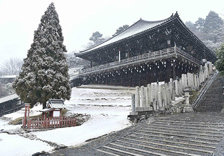 [長榮]關西歷史風景絕美之旅五日