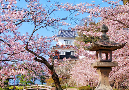 [長榮]九州春花綻五日遊