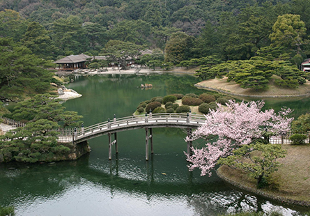 [長榮]道後四國湯旅賞櫻五日