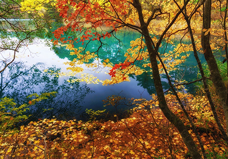 [日航]楓紅東北經典六日