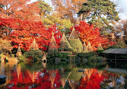 [長榮]楓紅東北宮城山形五星之旅五日