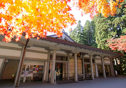 [JL PAK日本假期]東北紅葉至極絕景七日
