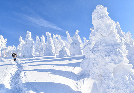 [虎航]雪戀東北五日