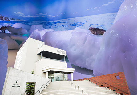 [JL PAK日本假期]北海道全覽七日