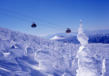 [日航]奇幻藏王樹冰東北六日